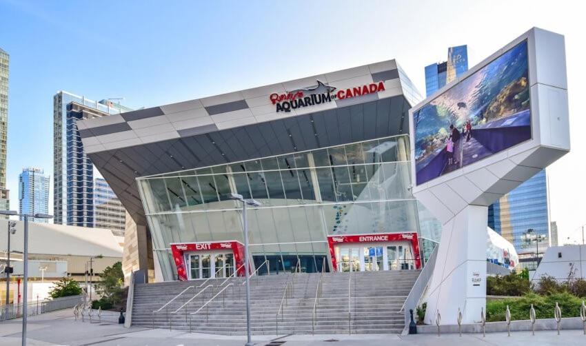 3 Bedroom Beside Cn Tower With Parking Downtown トロント エクステリア 写真